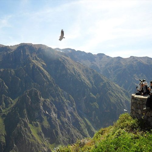 Colca Full Day
