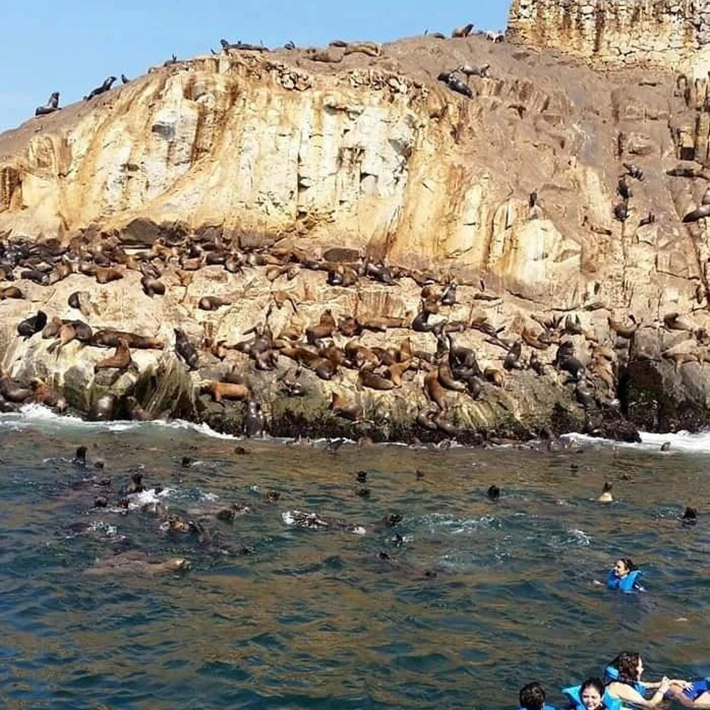 TOURS ISLAS PALOMINO