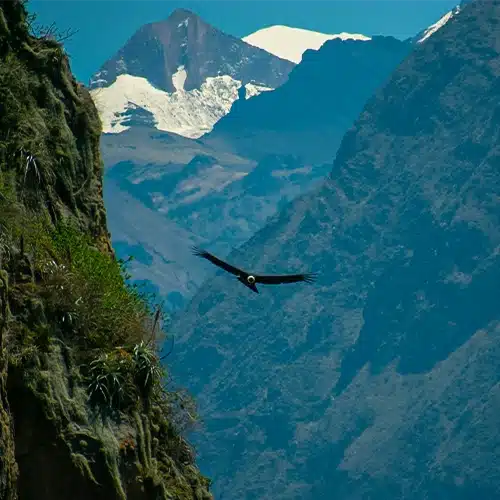AREQUIPA CON COLCA (4D/3N)